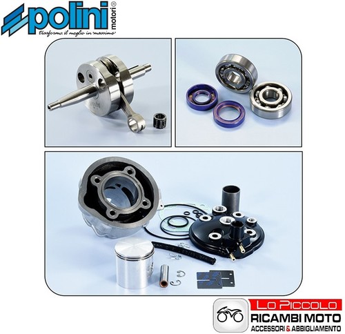 Kit polini gruppo - kit,
